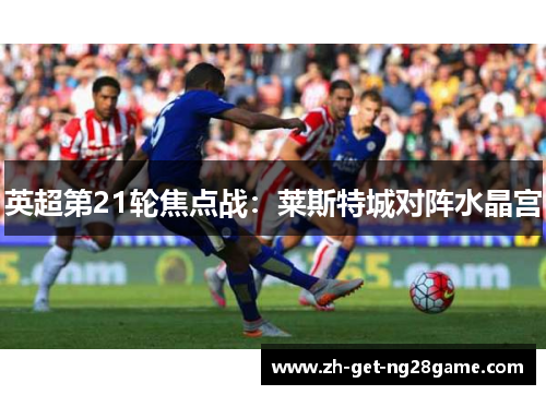 英超第21轮焦点战:莱斯特城对阵水晶宫 英超第21轮焦点战:莱斯特城对阵水晶宫