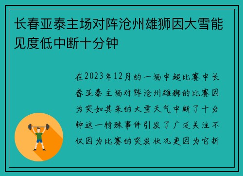 长春亚泰主场对阵沧州雄狮因大雪能见度低中断十分钟
