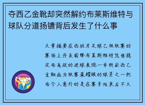 夺西乙金靴却突然解约布莱斯维特与球队分道扬镳背后发生了什么事